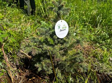Курсанты камчатского Центра «ВОИН» приняли участие в акции «Сад памяти»